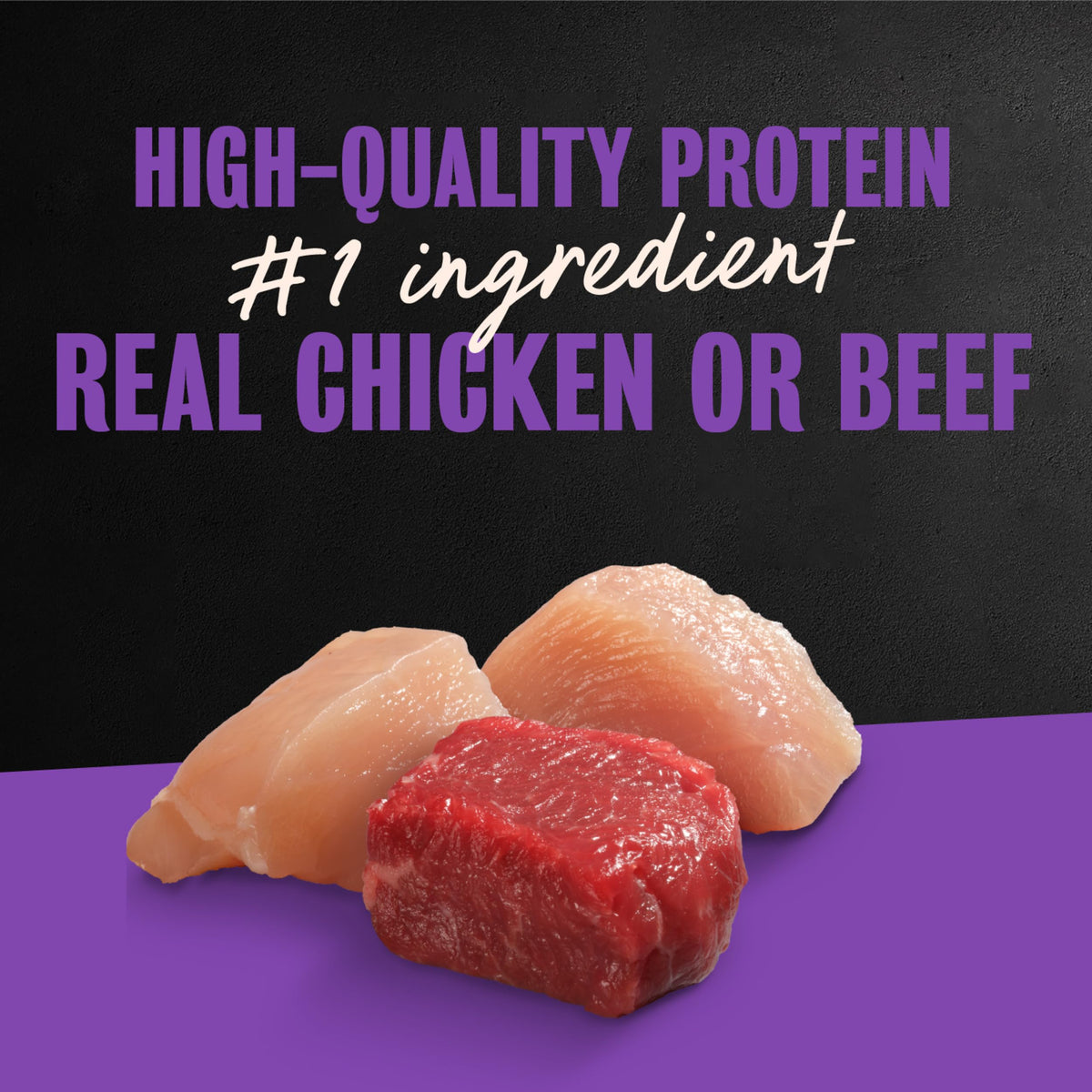 Cesar Wet Dog Food, Steak & Chicken Lovers Variety Pack, 3.5 oz, 36 count