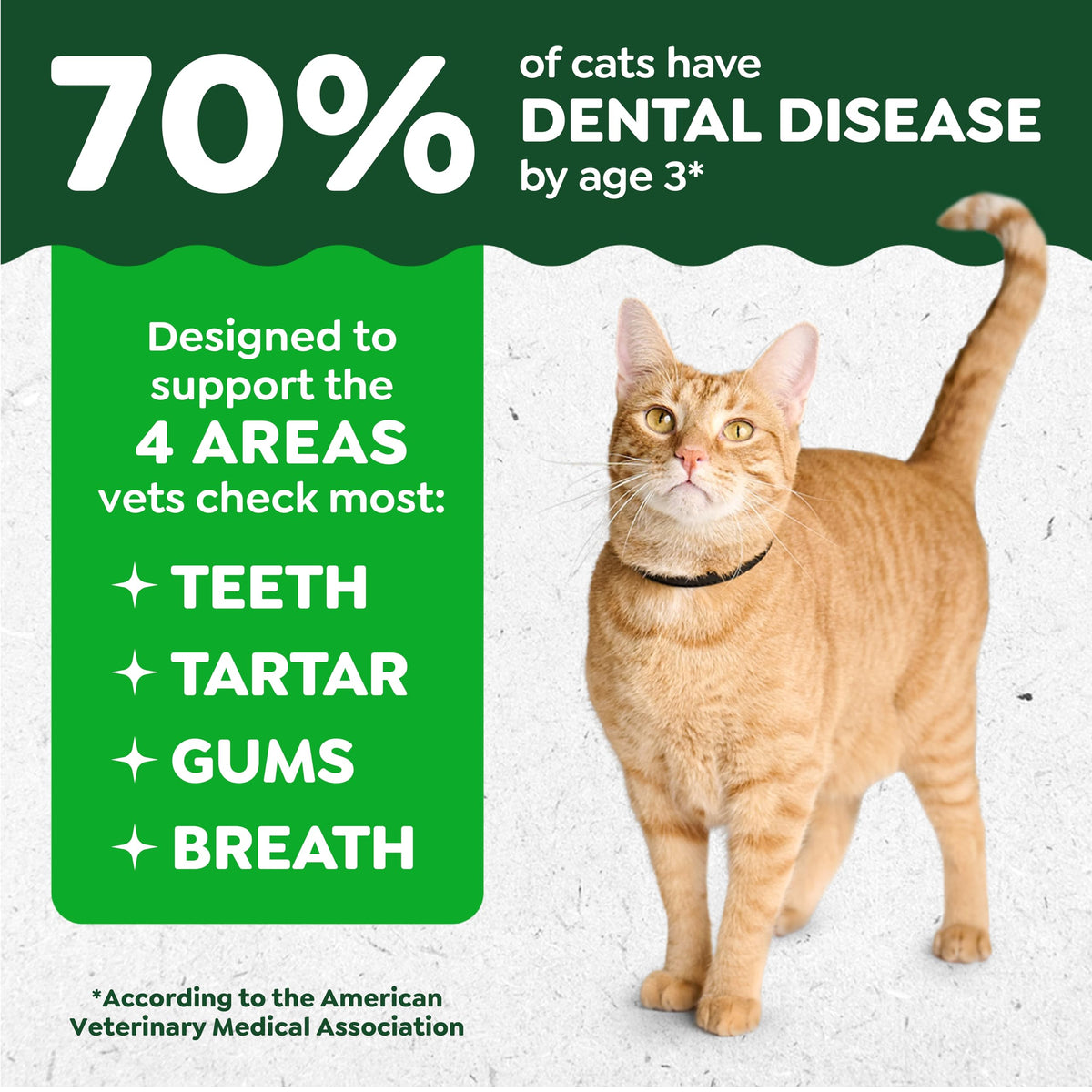 Greenies Feline Natural Dental Cat Treats, Catnip Flavor, 4.6 oz