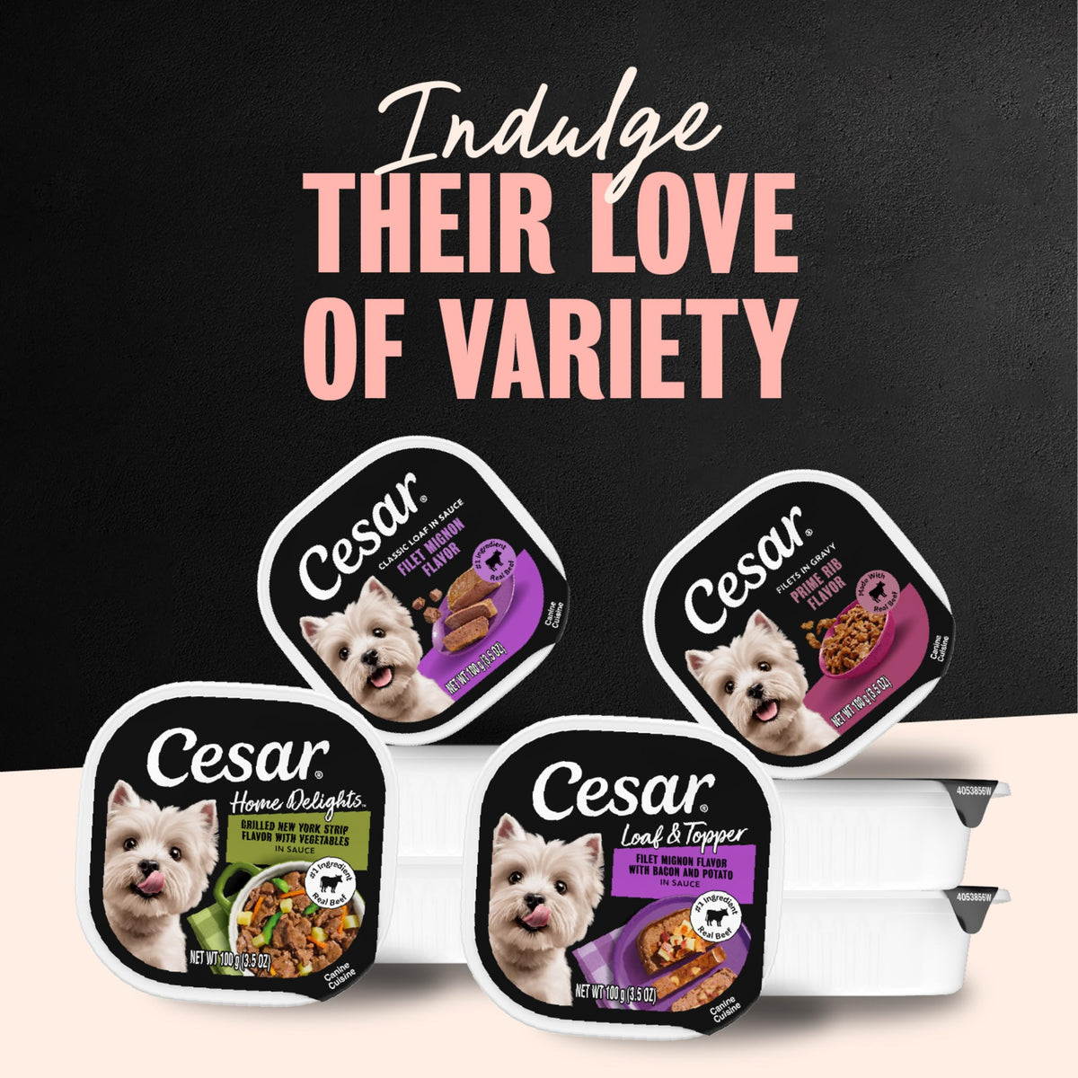 Cesar Wet Dog Food, Steak & Chicken Lovers Variety Pack, 3.5 oz, 36 count