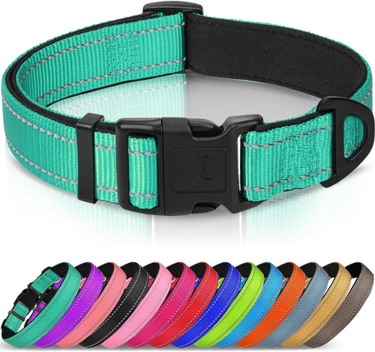 Joytale Reflective Dog Collar, Adjustable Neoprene Padded, Teal M