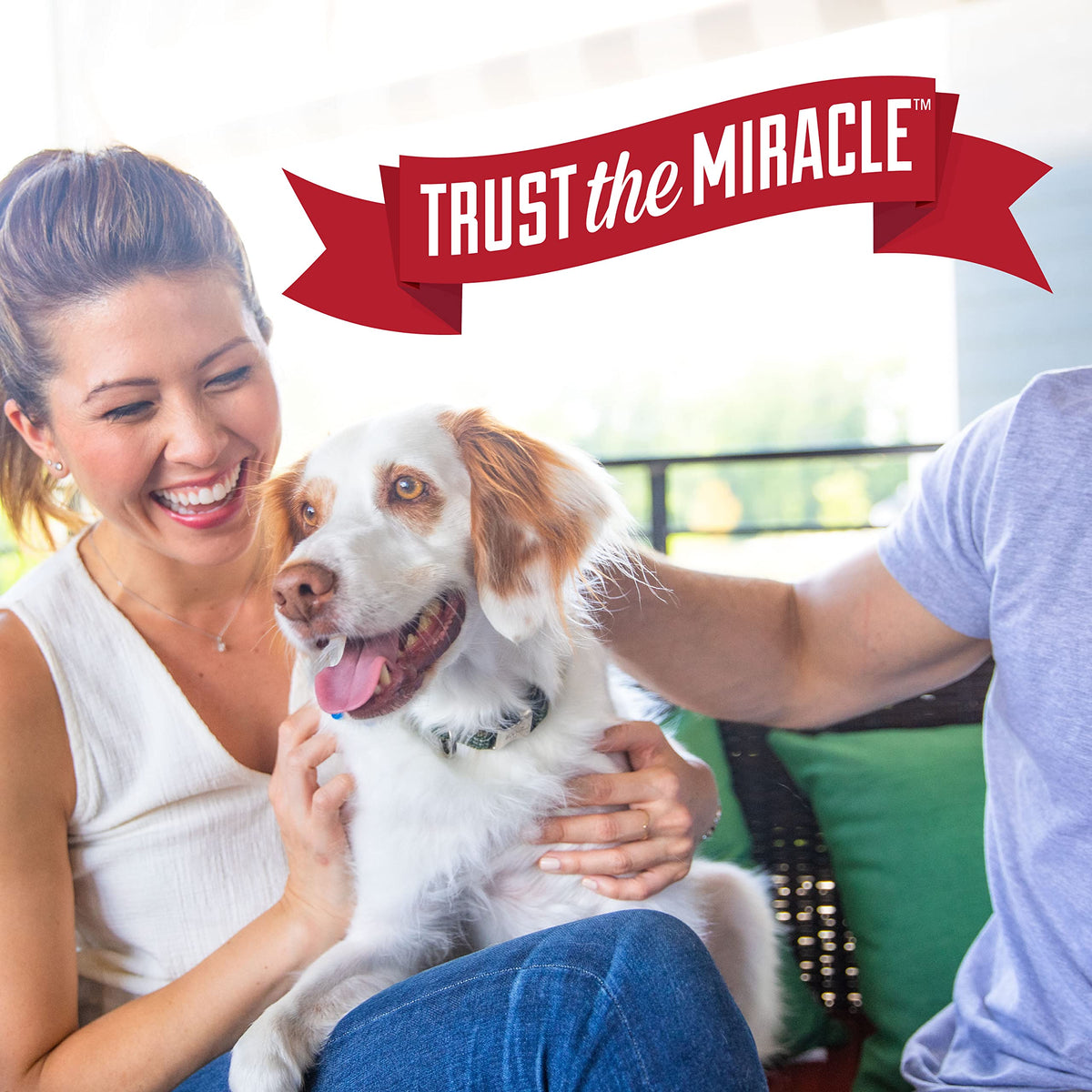 Nature's Miracle Dog Urine Destroyer Plus, Enzymatic Cleaner, 32 oz