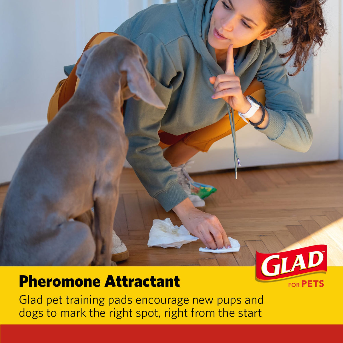 Glad for Pets, Activated Carbon, Large Puppy Pads, Dog Pee Pads, 150 Count