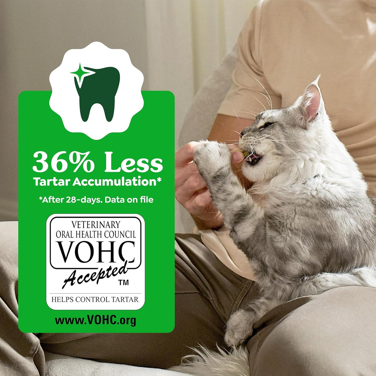 Greenies Feline Natural Dental Cat Treats, Catnip Flavor, 4.6 oz