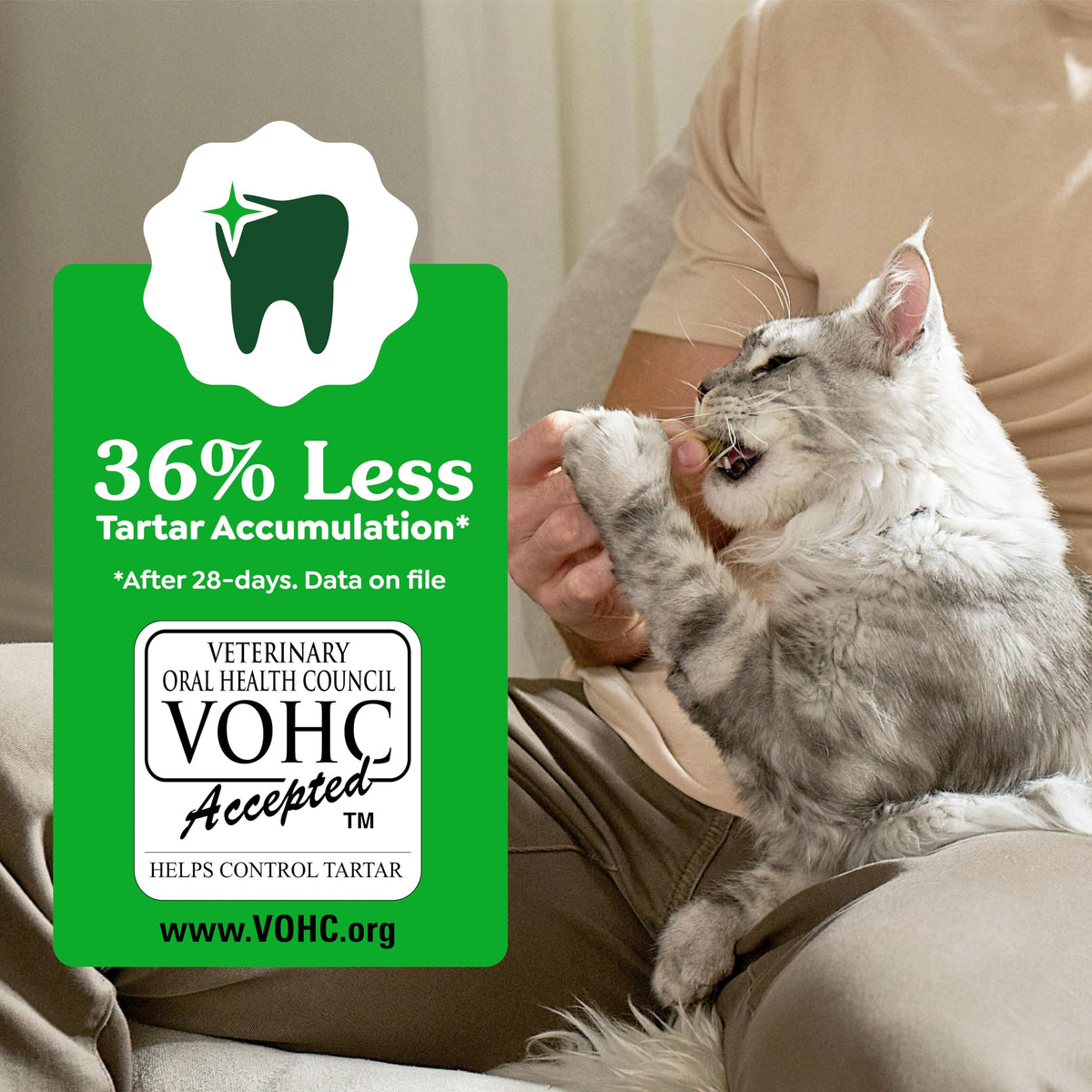 Greenies Feline Natural Dental Cat Treats, Catnip Flavor, 4.6 oz