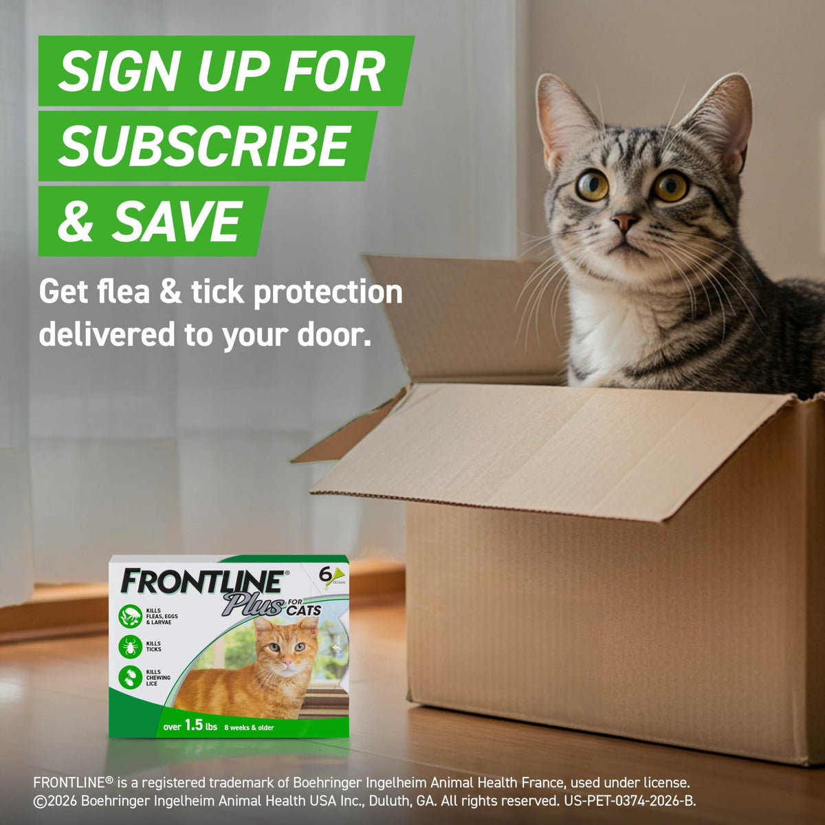FRONTLINE Plus Flea & Tick Spot Treatment for Cat & Kitten (Green) Count of 6