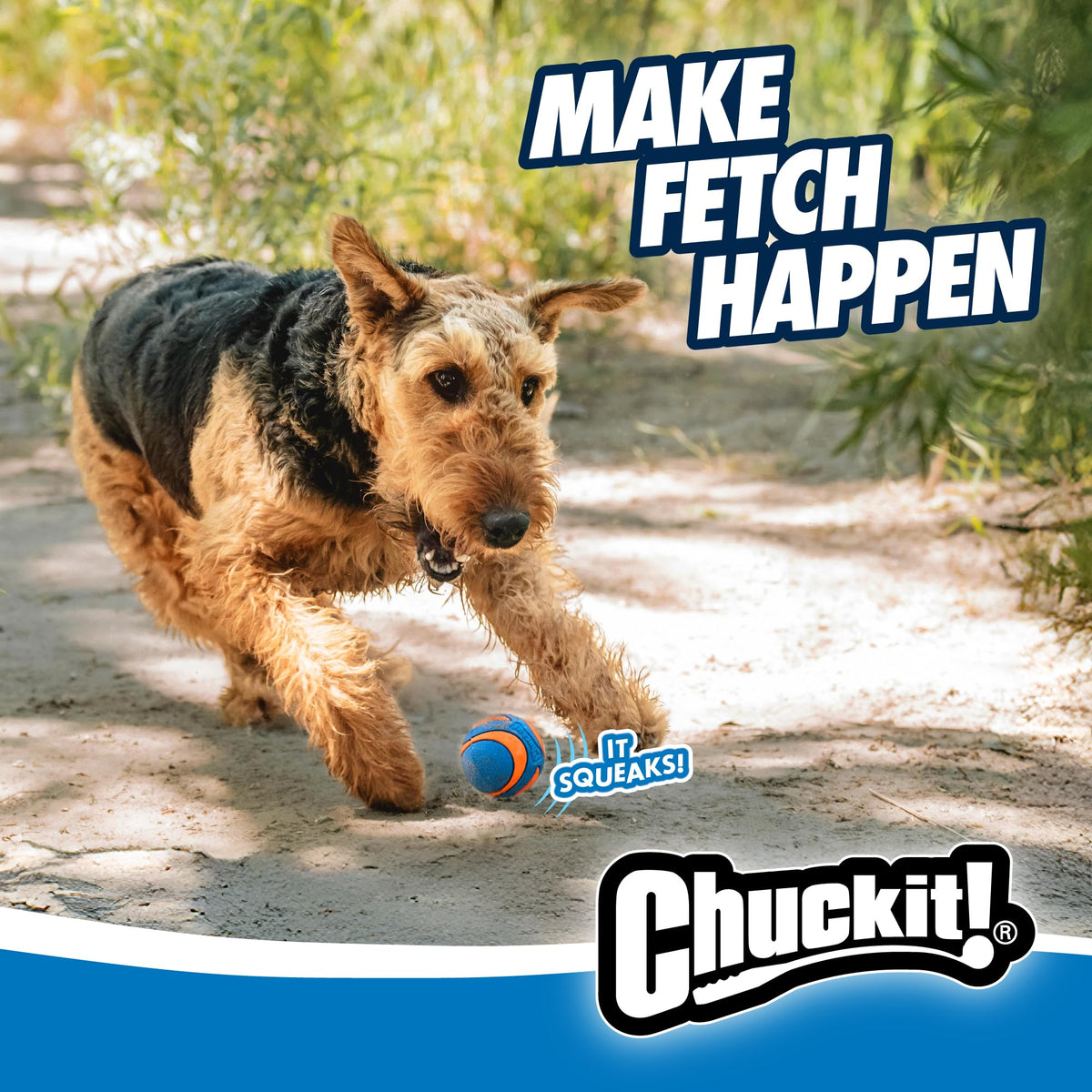 Chuckit! Ultra Squeaker Balls for Dogs, Floating Water Pet Toys, Durable Rubber Pet Toy, Bouncy Squeaky Fetch Balls for Dogs, Medium (2.5") 2 Count (Pack of 12)