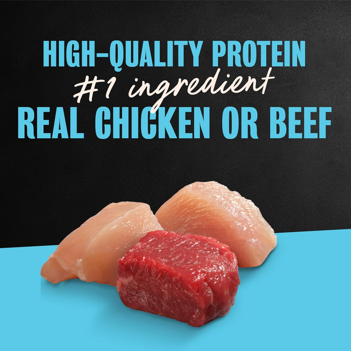 Cesar Wet Dog Food, Steak & Chicken Lovers Variety Pack, 3.5 oz, 36 count