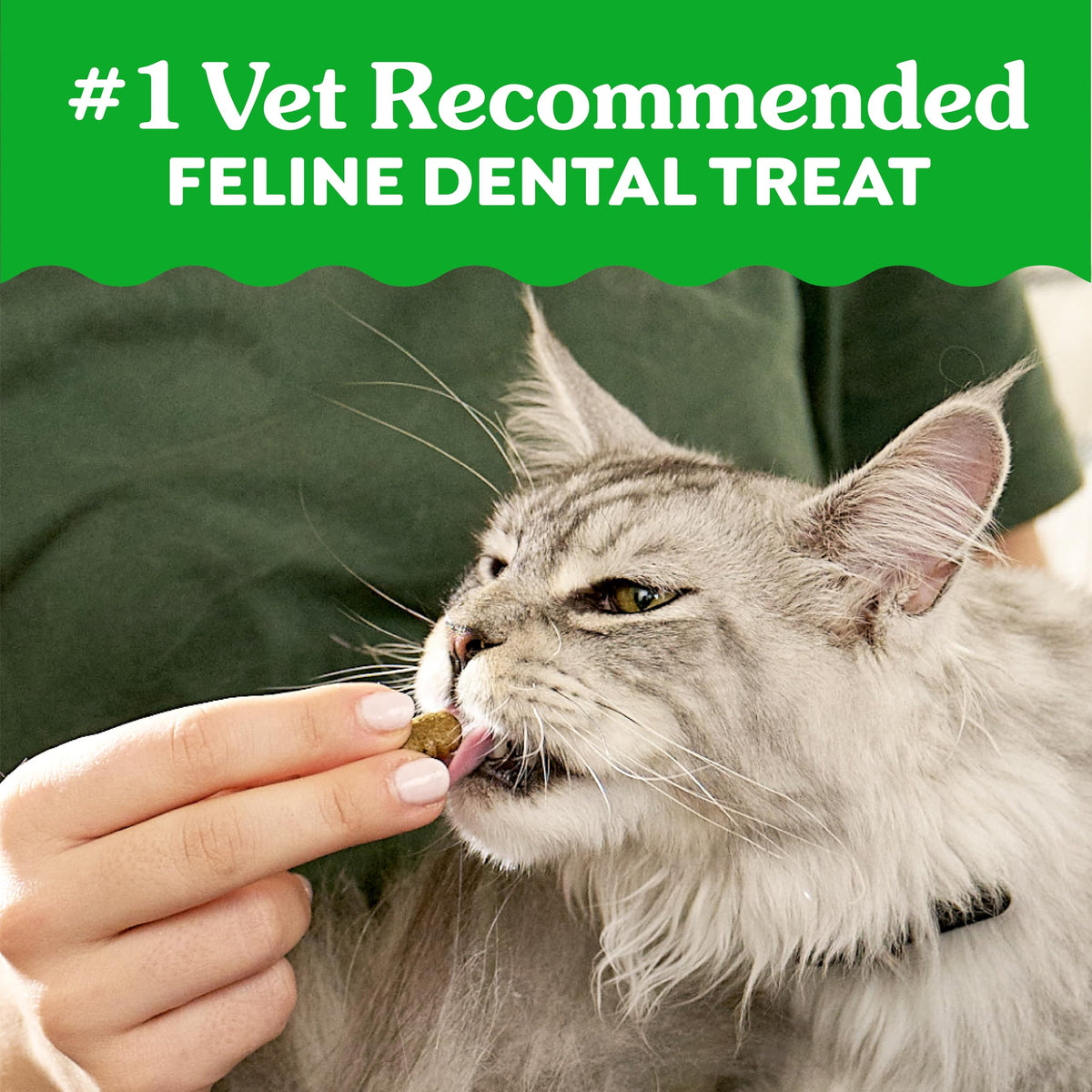 Greenies Feline Natural Dental Cat Treats, Catnip Flavor, 4.6 oz