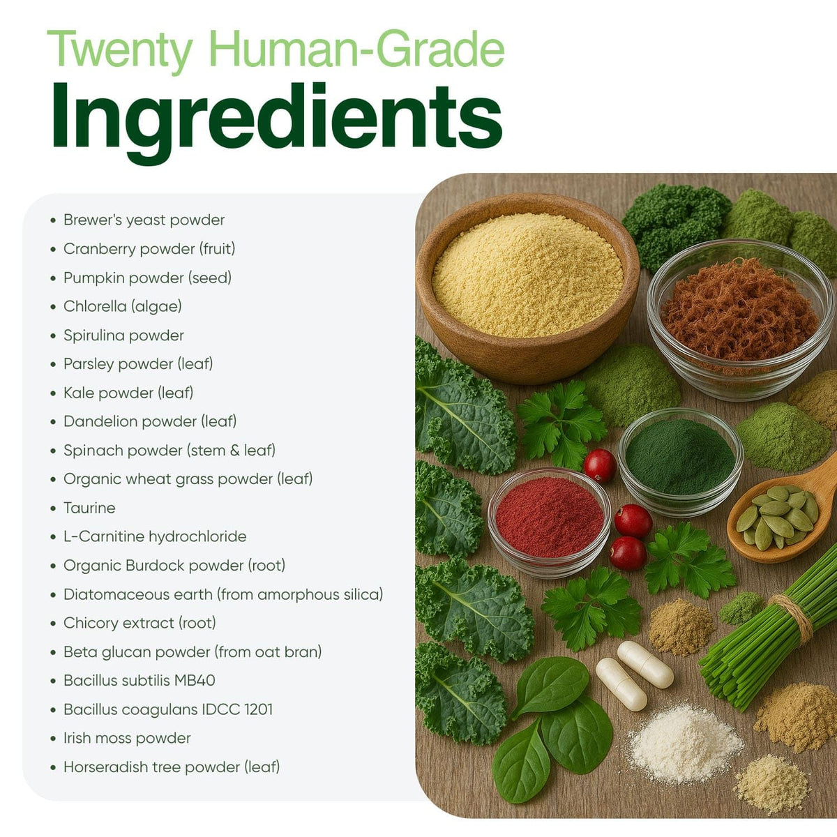 Human-Grade Superfood For Dogs, Premium Greens Powder Supplement For Dental Health, Longevity, Hip & Joint, Gut Health, Allergies, Immune Support, Skin & Coat - 3.5 oz Nutrient Dense Formula