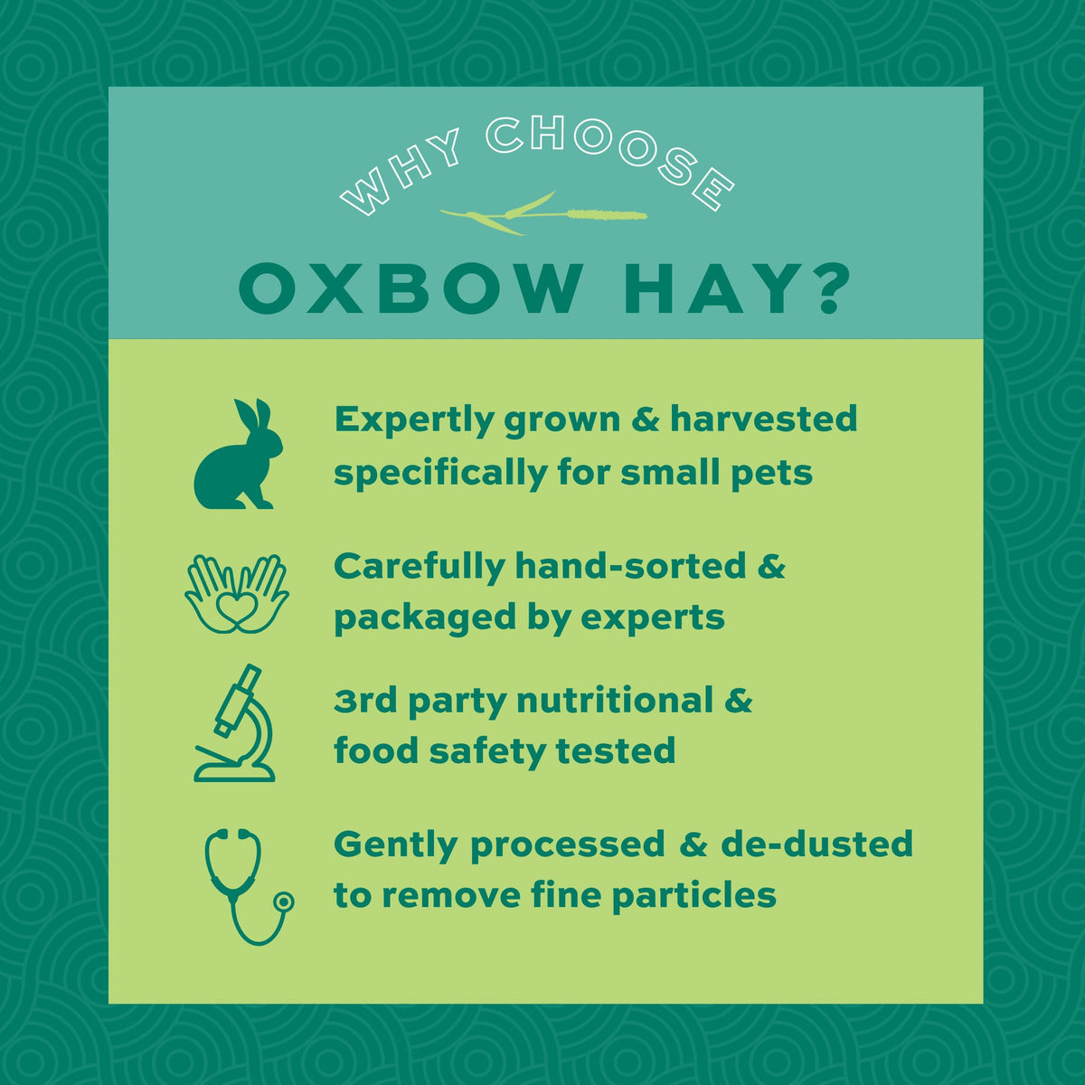 Oxbow Western Timothy Hay, Rabbit & Guinea Pig Hay, High Fiber, USA, 90 oz