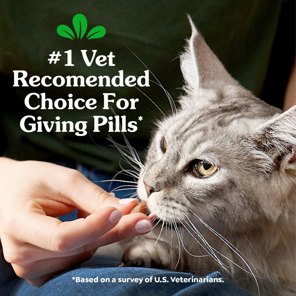 Greenies Feline Pill Pockets Soft Cat Treats, Chicken Flavor, 85 count