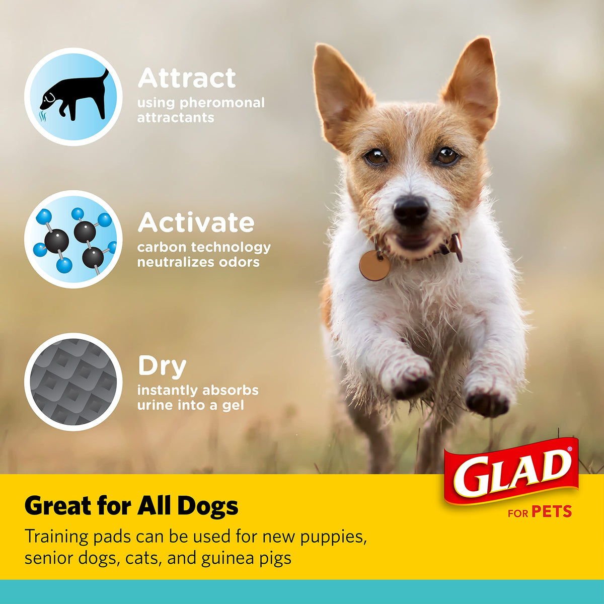 Glad for Pets, Activated Carbon, Large Puppy Pads, Dog Pee Pads, 150 Count