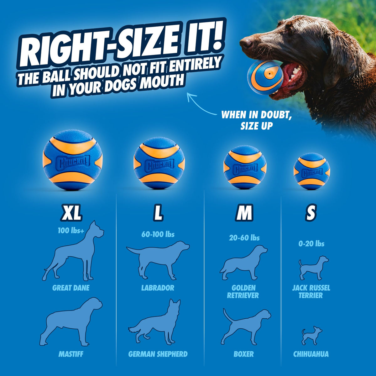 Chuckit! Ultra Squeaker Balls for Dogs, Floating Water Pet Toys, Durable Rubber Pet Toy, Bouncy Squeaky Fetch Balls for Dogs, Medium (2.5") 2 Count (Pack of 12)