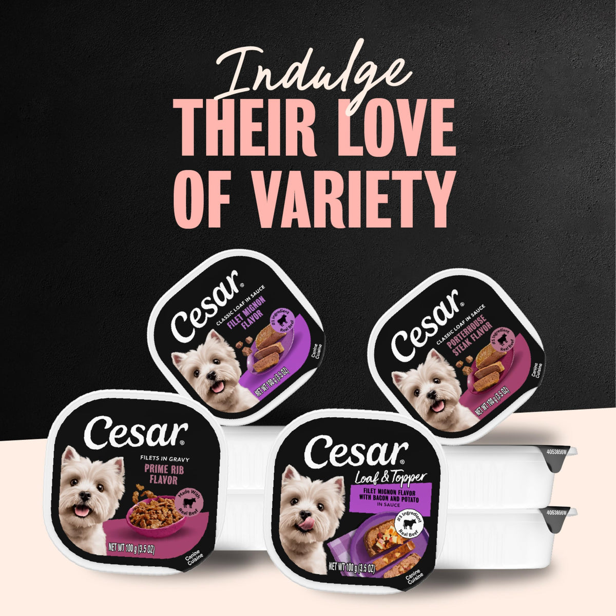 Cesar Wet Dog Food, Steak & Chicken Lovers Variety Pack, 3.5 oz, 36 count