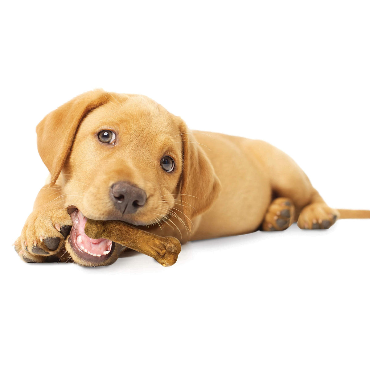 Nylabone Healthy Edibles Puppy Dog Treats Variety Pack, 3 Count