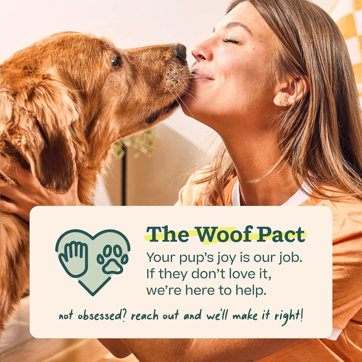 WOOF Pupsicle Interactive Dog Ball Toy for Dogs Large 25-75 lbs - Pink