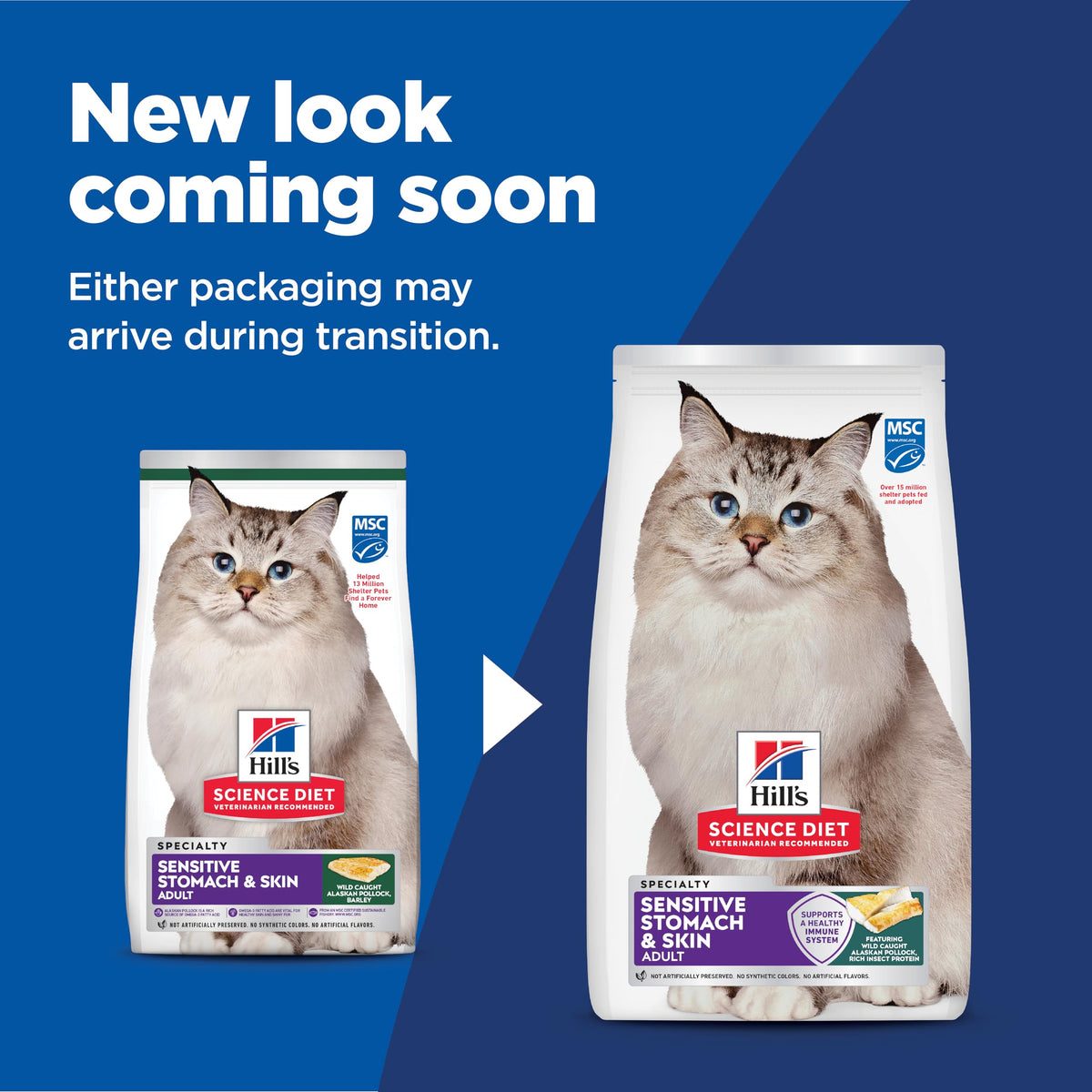 Hill's Science Diet Sensitive Stomach & Skin Dry Cat Food
