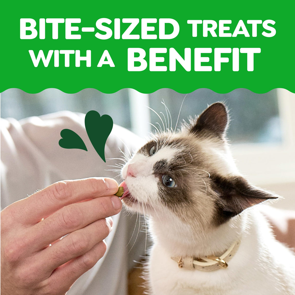 Greenies Feline Smartbites Healthy Indoor Cat Treats, Chicken, 4.6 oz