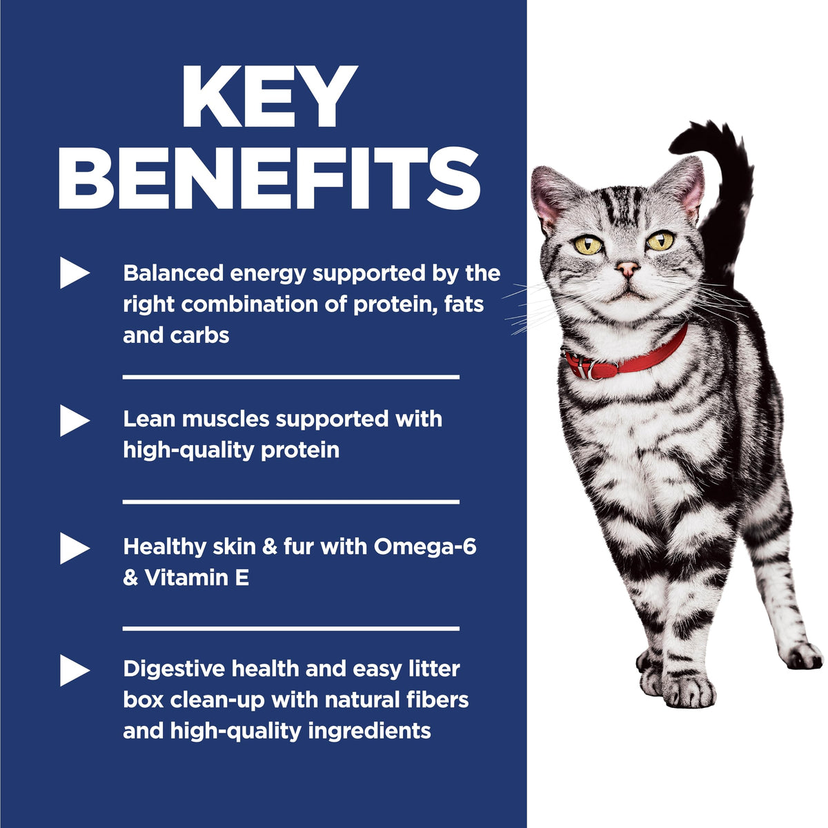 Hill's Science Diet Adult 1-6 Indoor Dry Cat Food