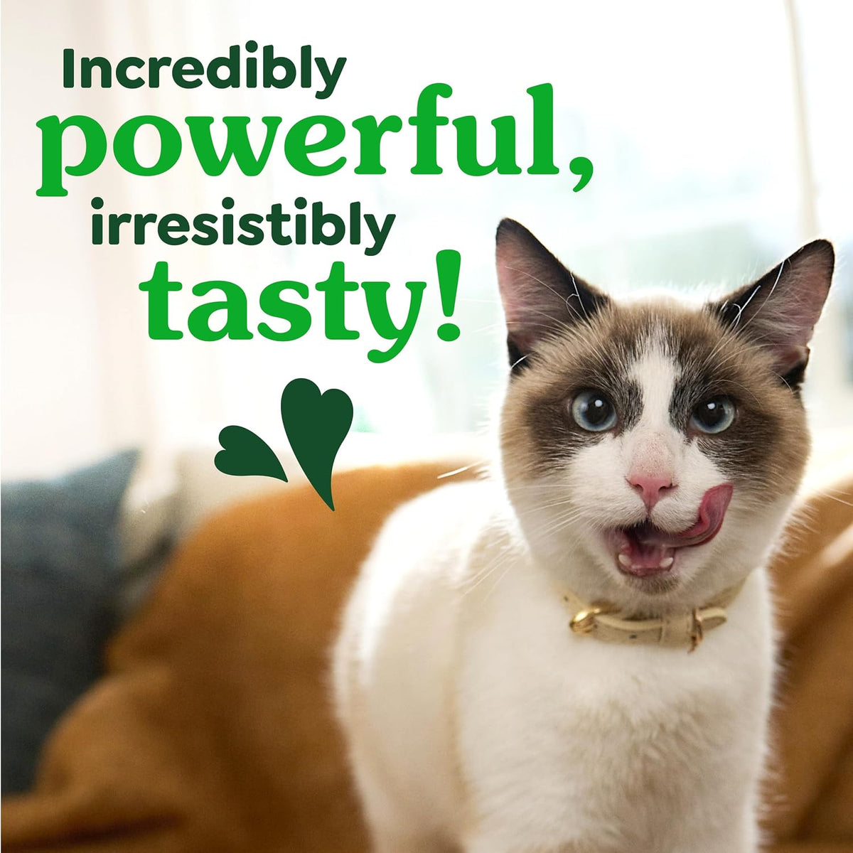 Greenies Feline Natural Dental Cat Treats, Catnip Flavor, 4.6 oz