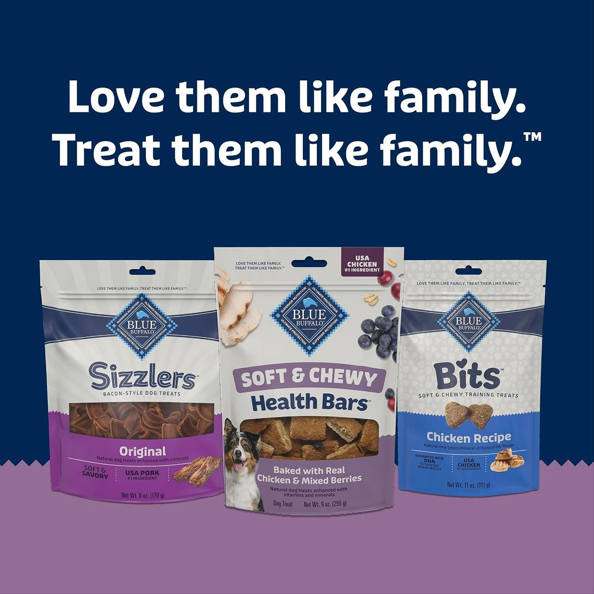 Blue Buffalo Health Bars Chicken & Mixed Berries Soft & Chewy Treats, 9 oz