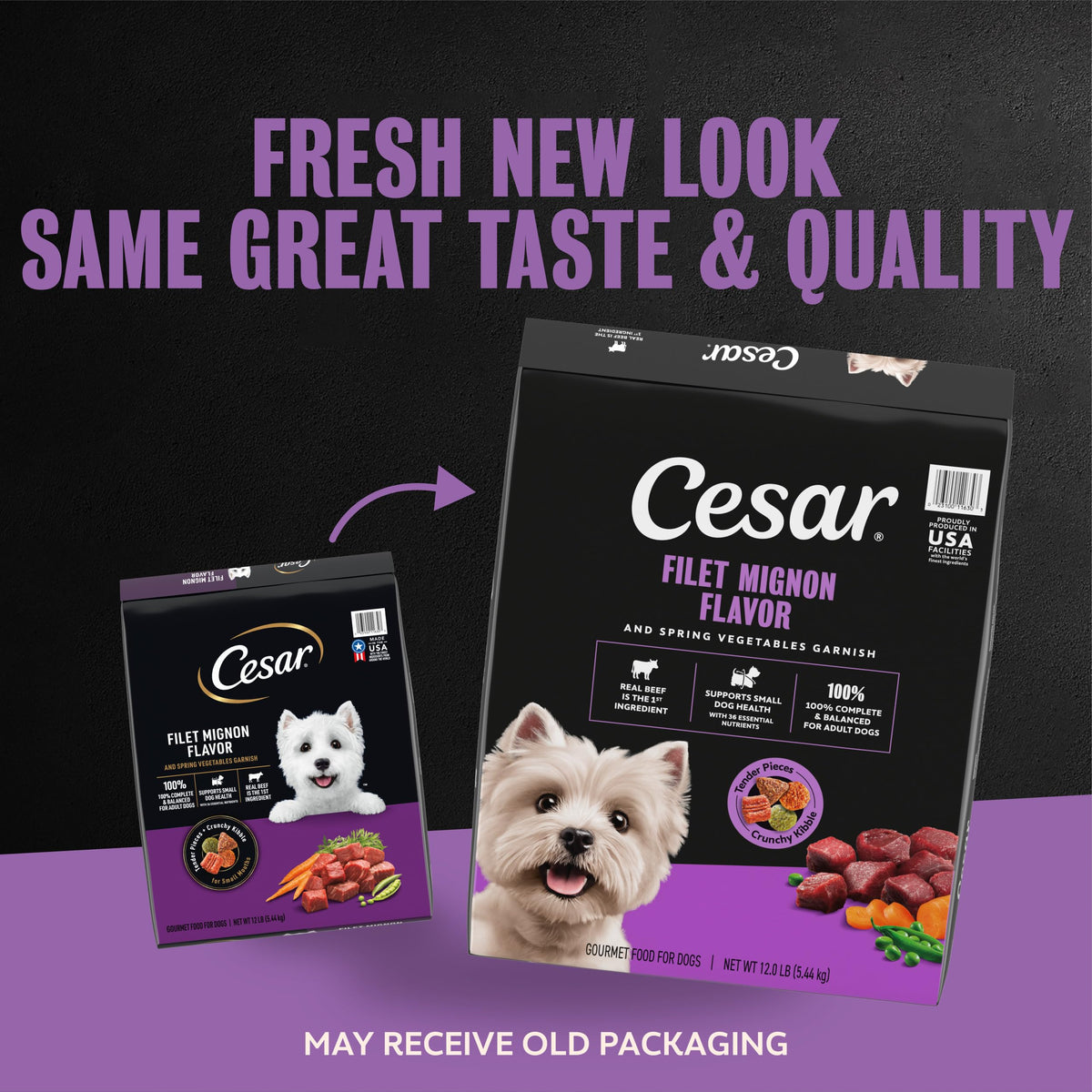 Cesar Small Breed Dry Dog Food, Chicken & Spring Vegetables Flavor, 2.7 lb