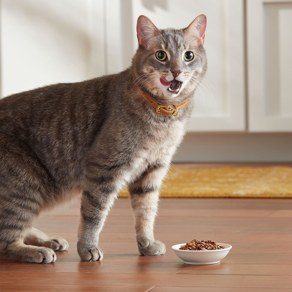 Meow Mix Poultry & Beef Favorites, Wet Food Variety Pack, 24 Cups