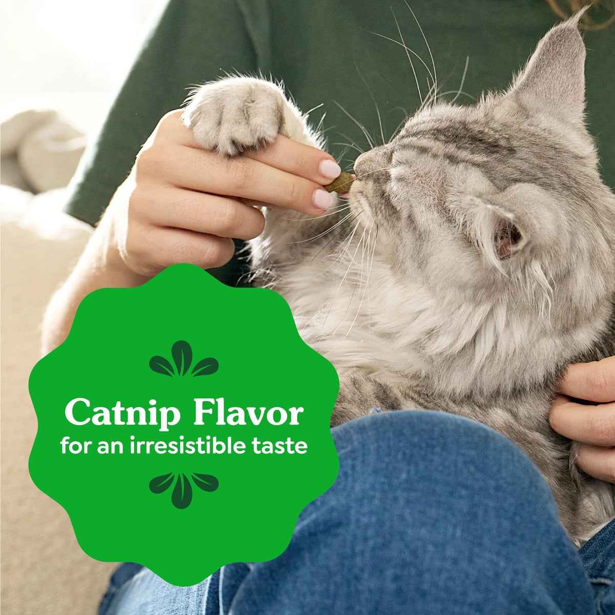 Greenies Feline Natural Dental Cat Treats, Catnip Flavor, 4.6 oz