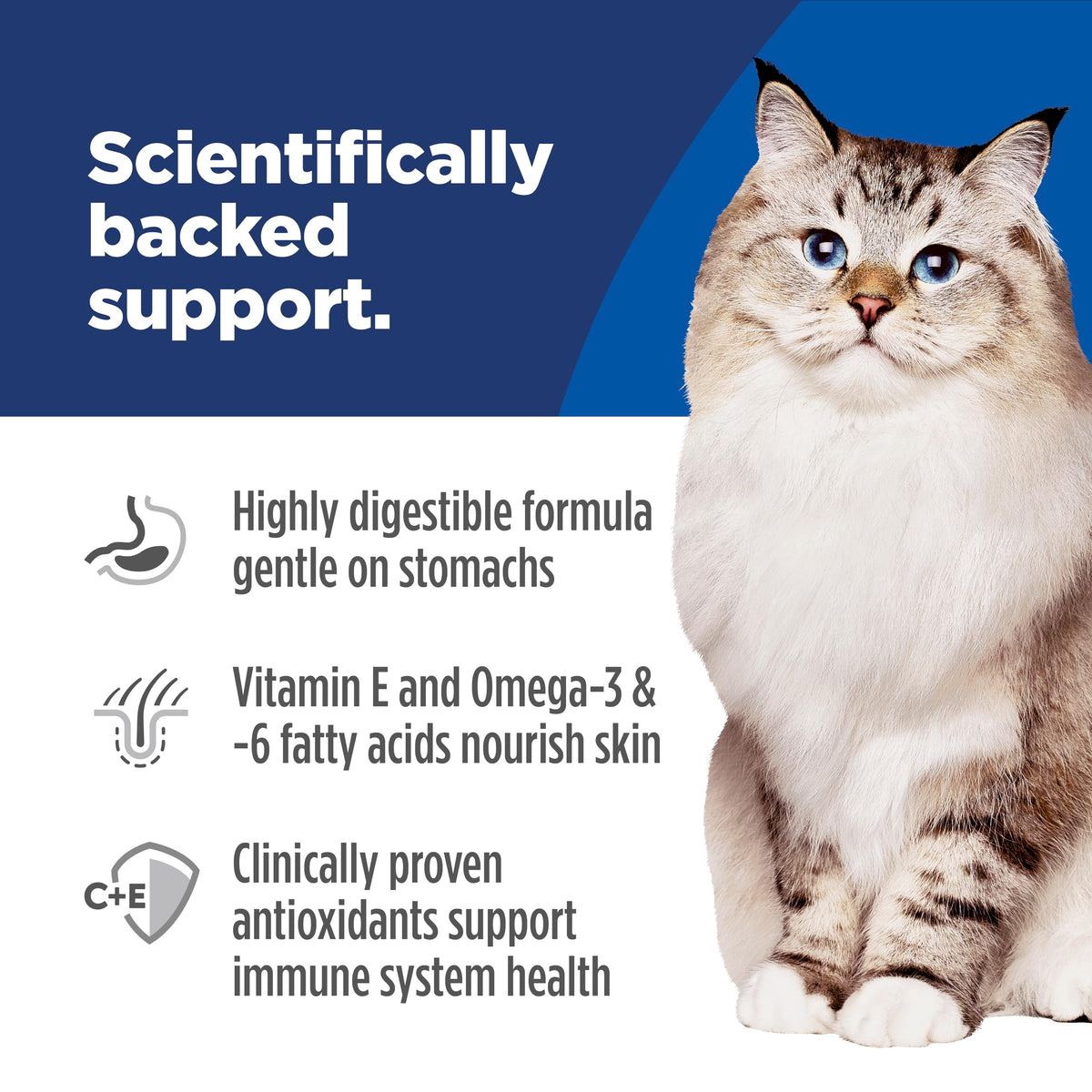 Hill's Science Diet Sensitive Stomach & Skin Dry Cat Food