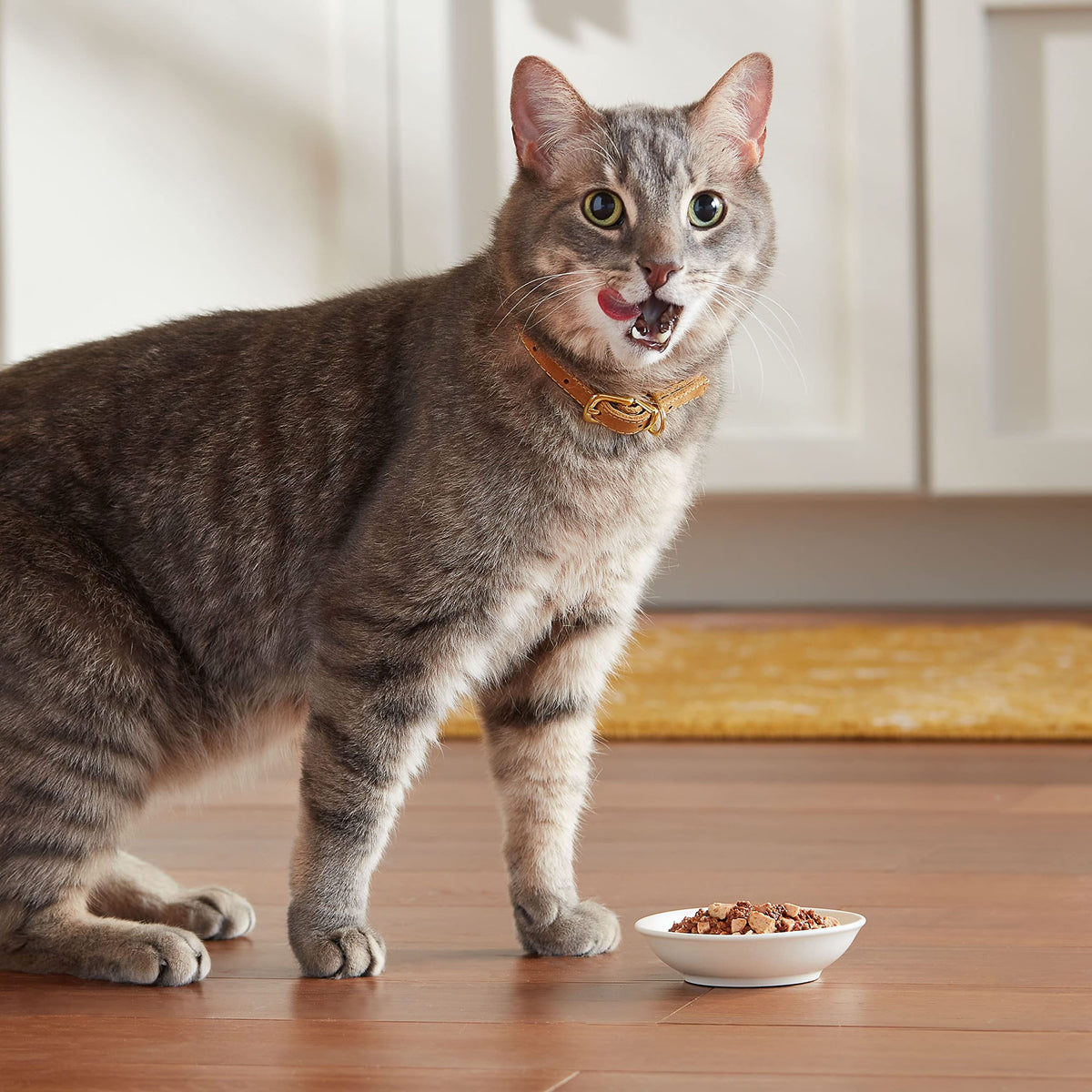 Meow Mix Poultry & Beef Favorites, Wet Food Variety Pack, 24 Cups