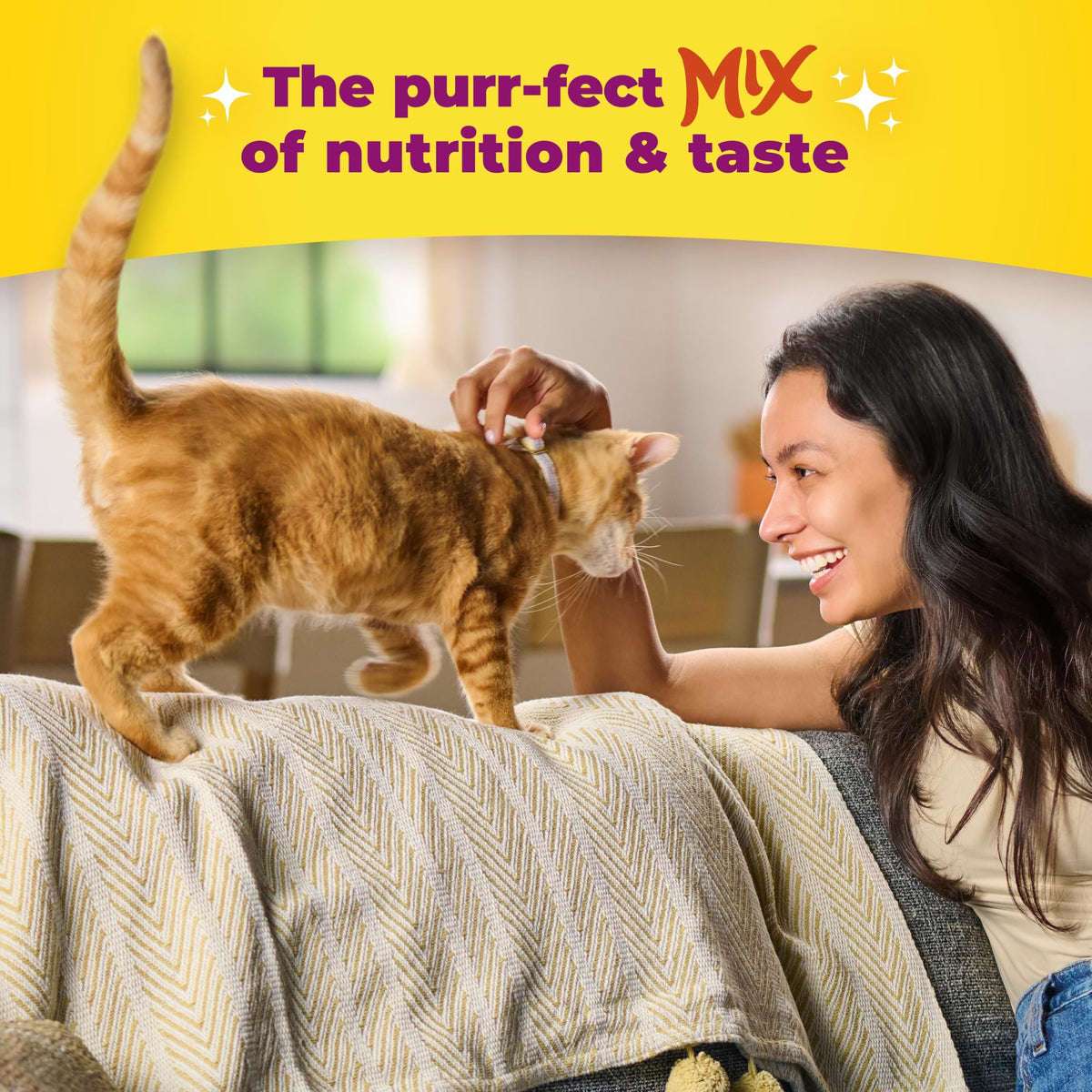 Meow Mix Tender Centers, Dry Cat Food, Salmon & Turkey Flavors, 4 Bags