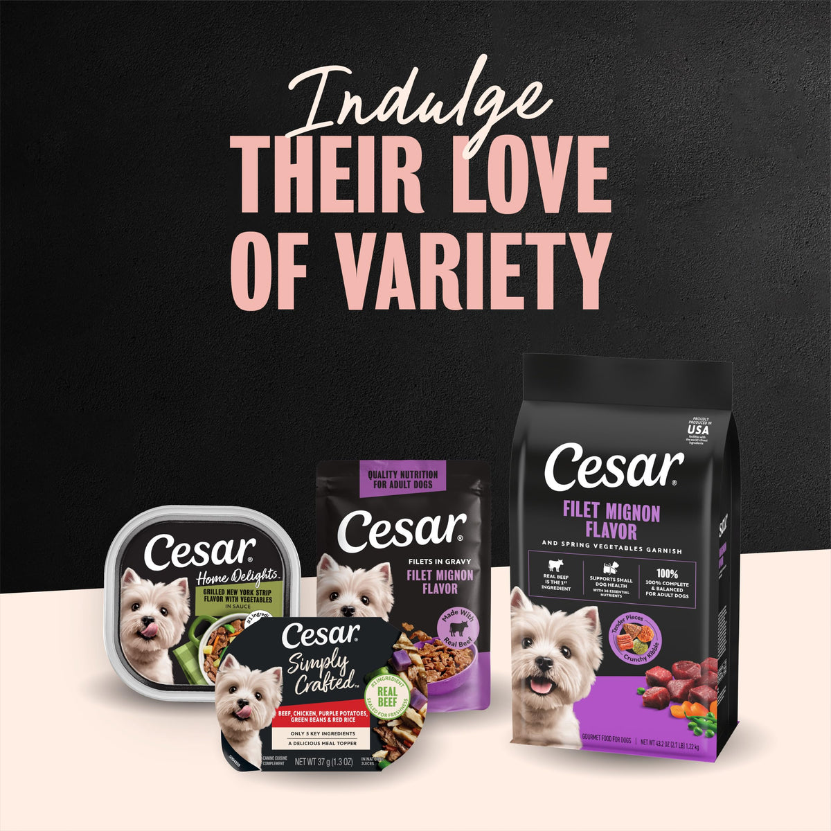 Cesar Small Breed Dry Dog Food, Chicken & Spring Vegetables Flavor, 2.7 lb