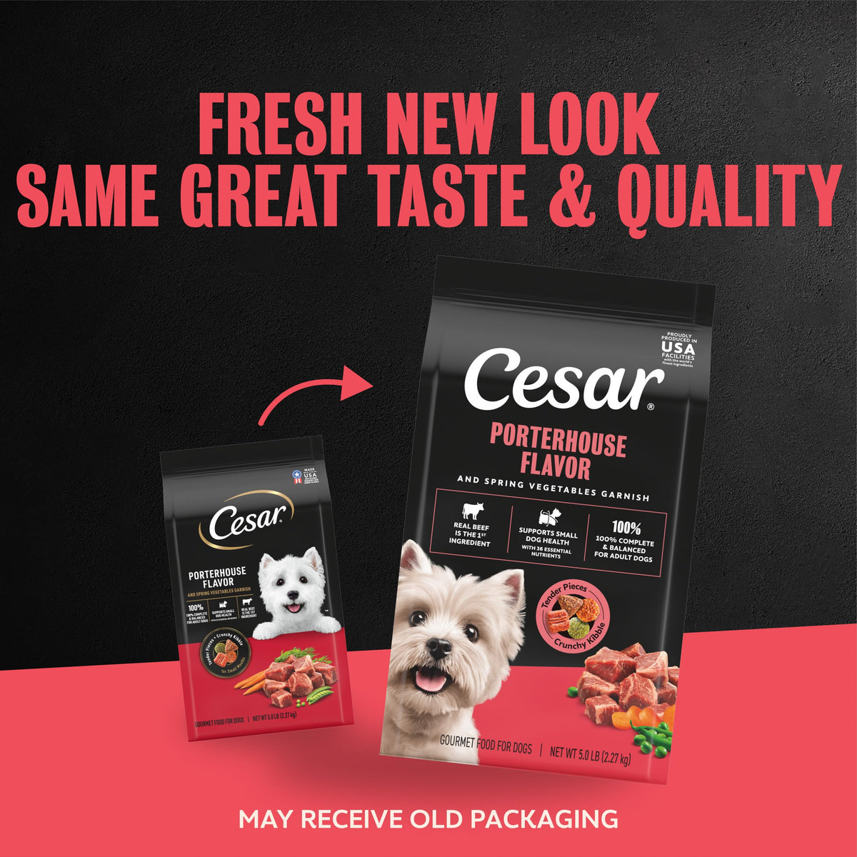 Cesar Small Breed Dry Dog Food, Chicken & Spring Vegetables Flavor, 2.7 lb