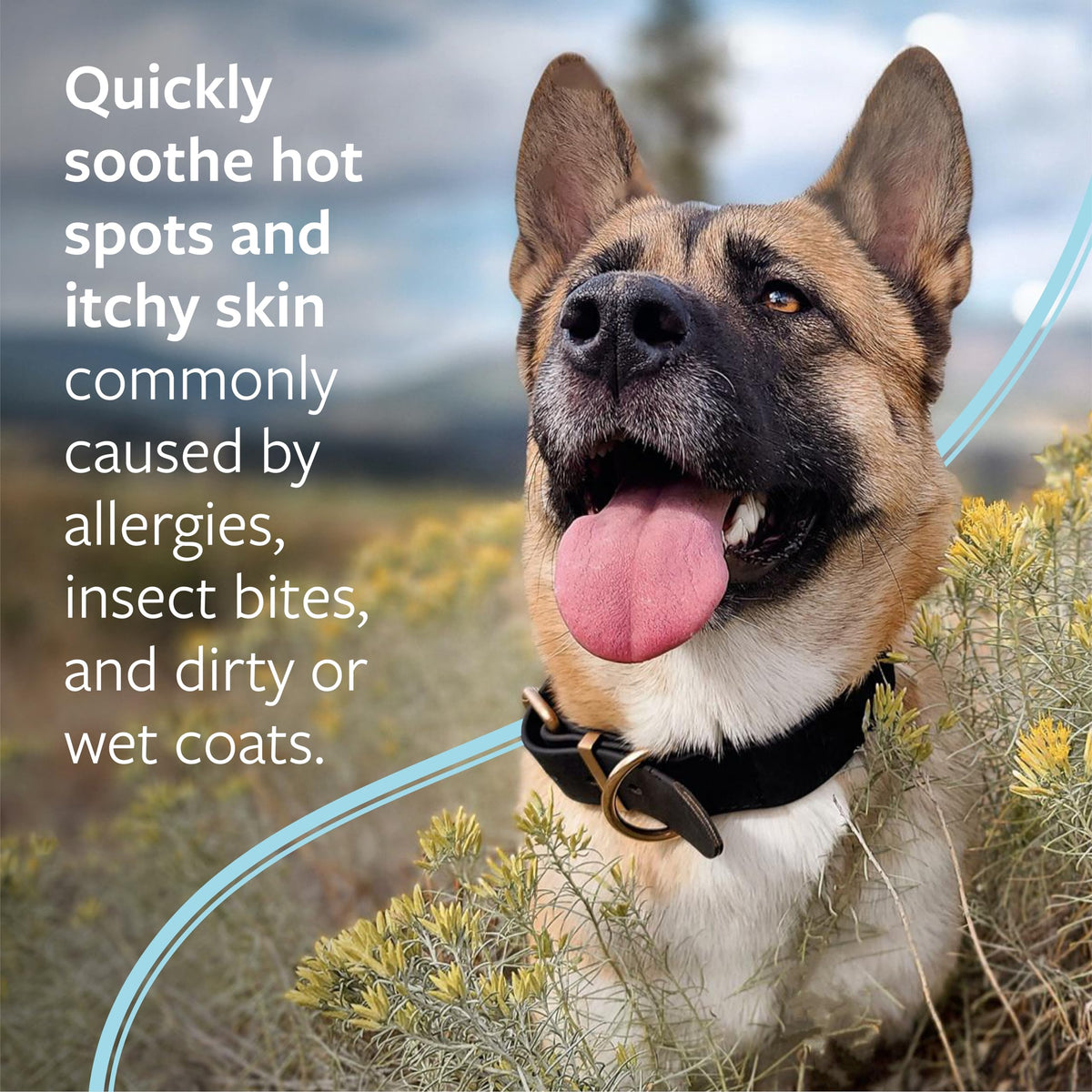 Veterinary Formula Clinical Care Hot Spot & Itch Relief Spray, 8 fl oz