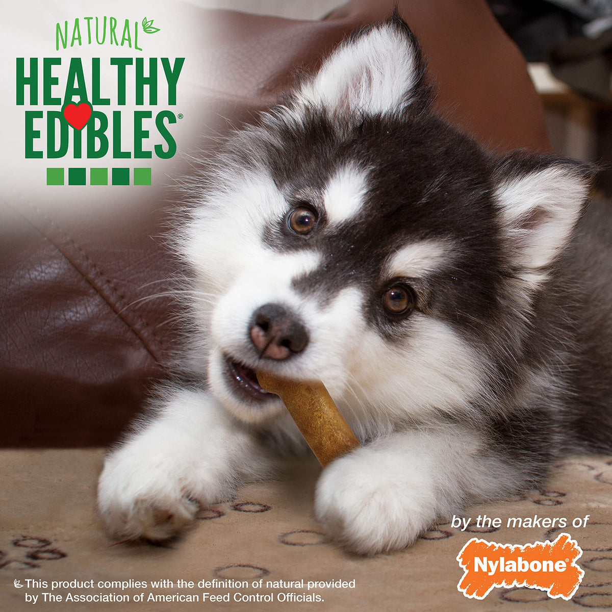 Nylabone Healthy Edibles Puppy Dog Treats Variety Pack, 3 Count