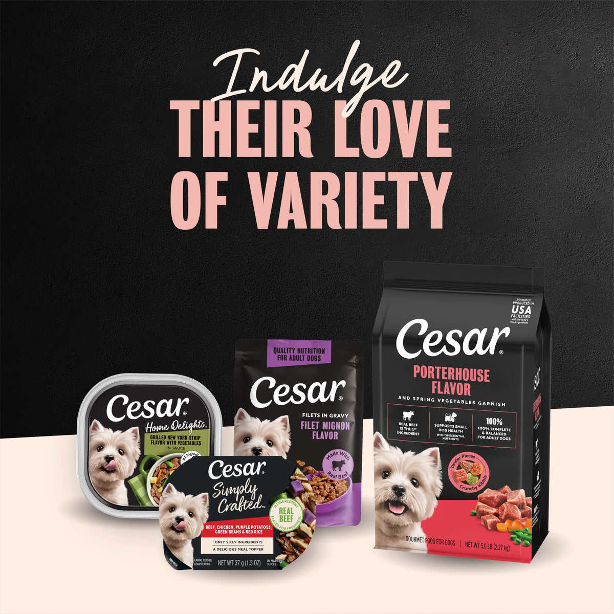 Cesar Small Breed Dry Dog Food, Chicken & Spring Vegetables Flavor, 2.7 lb