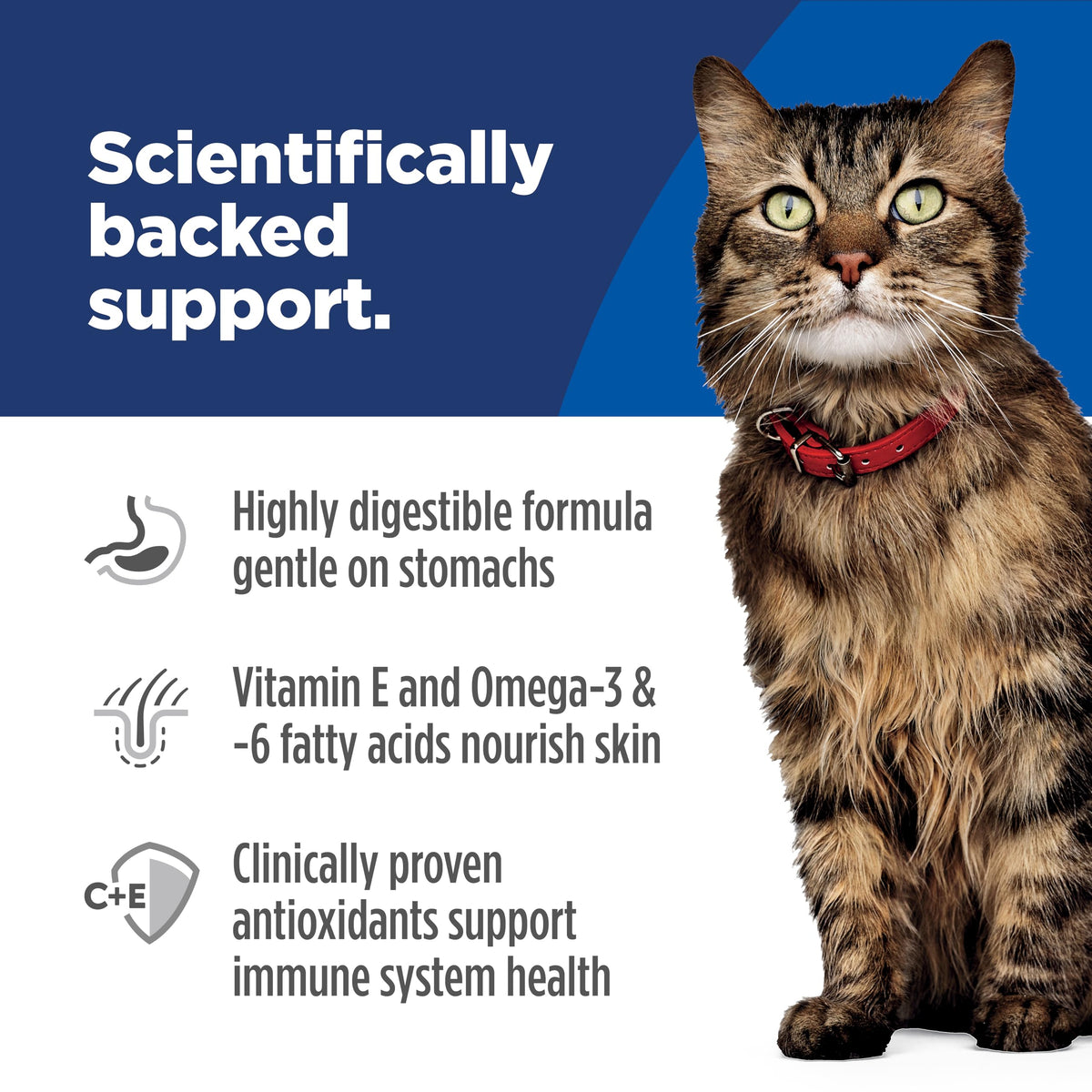 Hill's Science Diet Sensitive Stomach & Skin Dry Cat Food