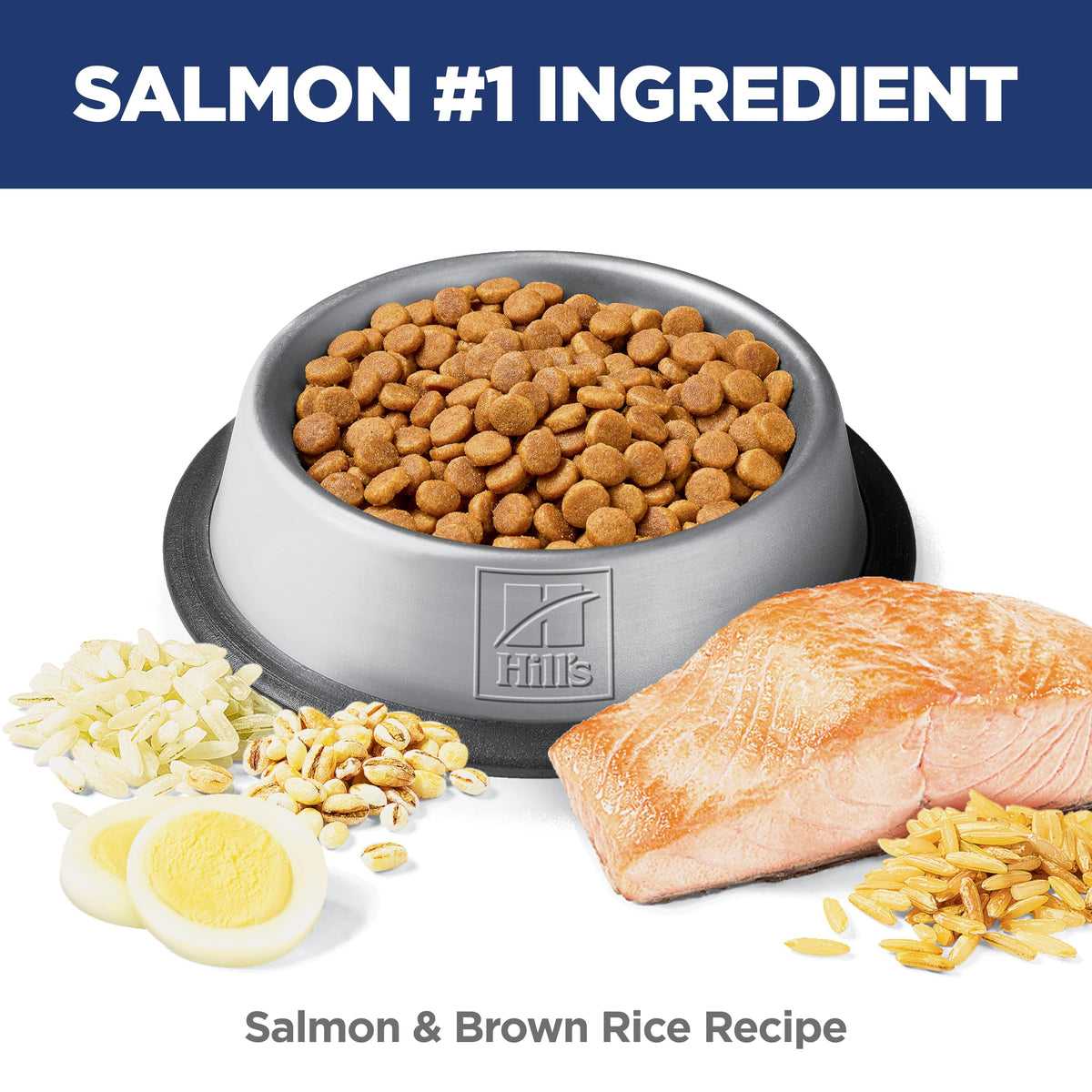 Hill's Science Diet Sensitive Stomach & Skin Dry Cat Food