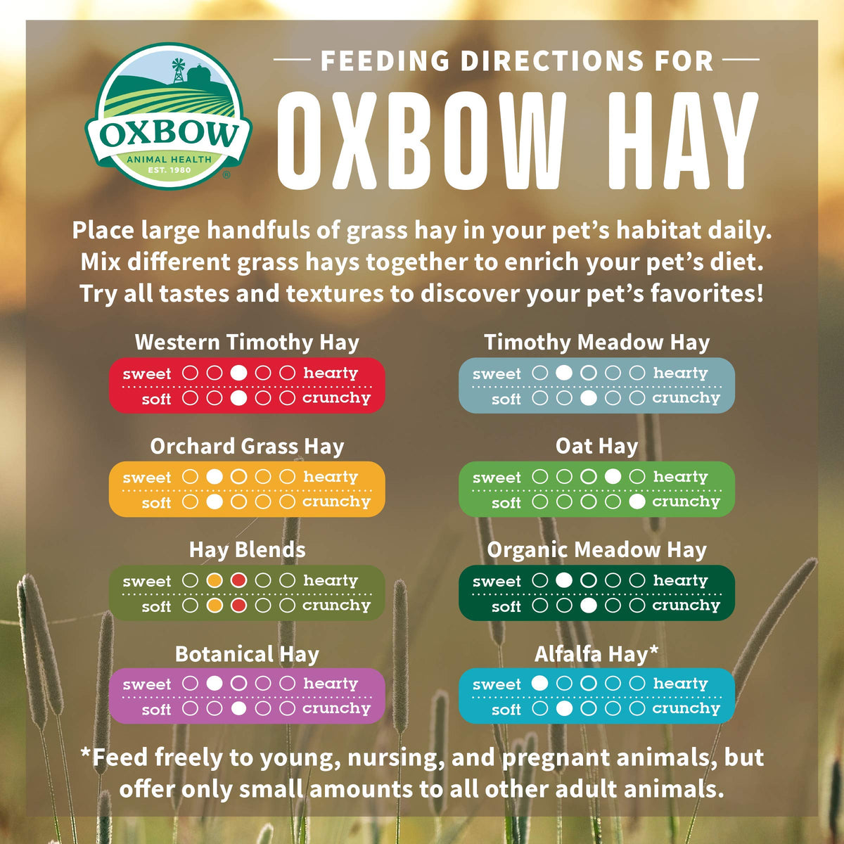 Oxbow Western Timothy Hay, Rabbit & Guinea Pig Hay, High Fiber, USA, 90 oz
