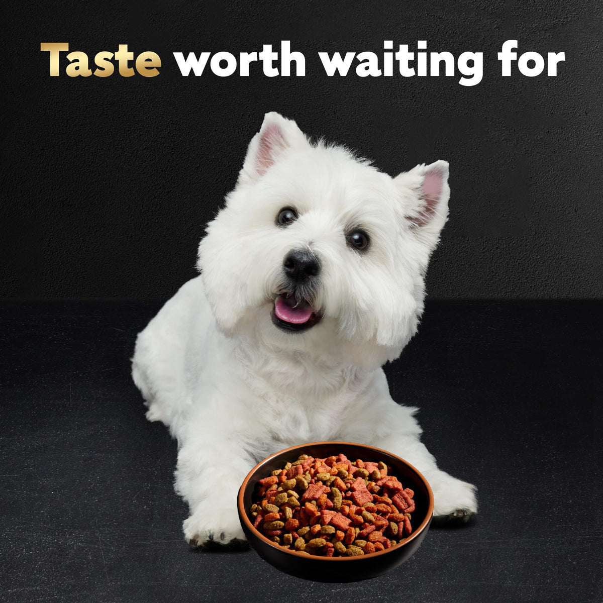 Cesar Small Breed Dry Dog Food, Chicken & Spring Vegetables Flavor, 2.7 lb