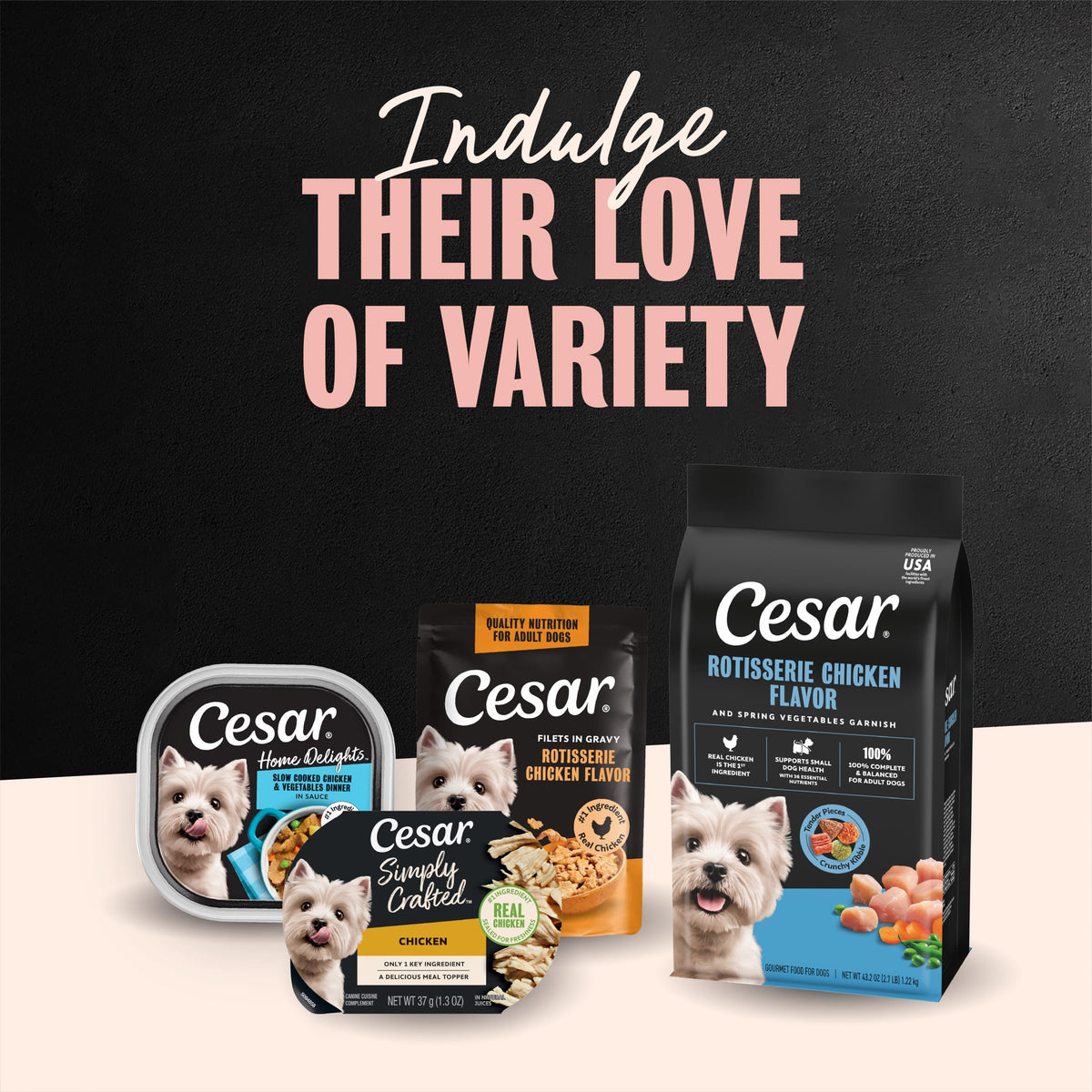 Cesar Small Breed Dry Dog Food, Chicken & Spring Vegetables Flavor, 2.7 lb
