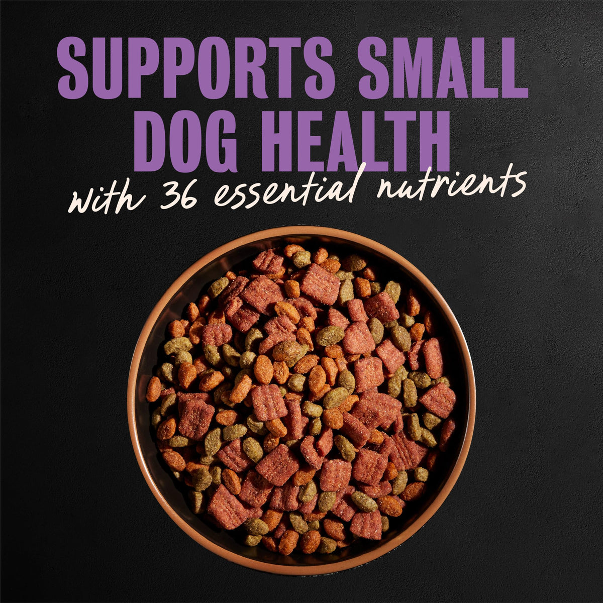 Cesar Small Breed Dry Dog Food, Chicken & Spring Vegetables Flavor, 2.7 lb