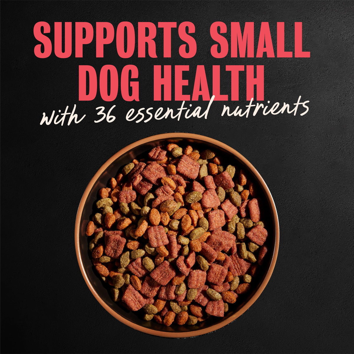 Cesar Small Breed Dry Dog Food, Chicken & Spring Vegetables Flavor, 2.7 lb