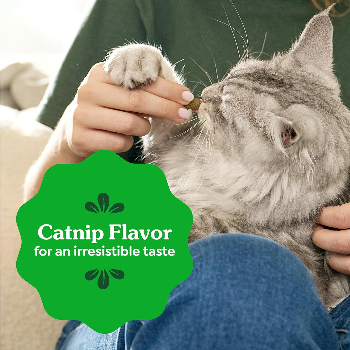 Greenies Feline Natural Dental Cat Treats, Catnip Flavor, 4.6 oz