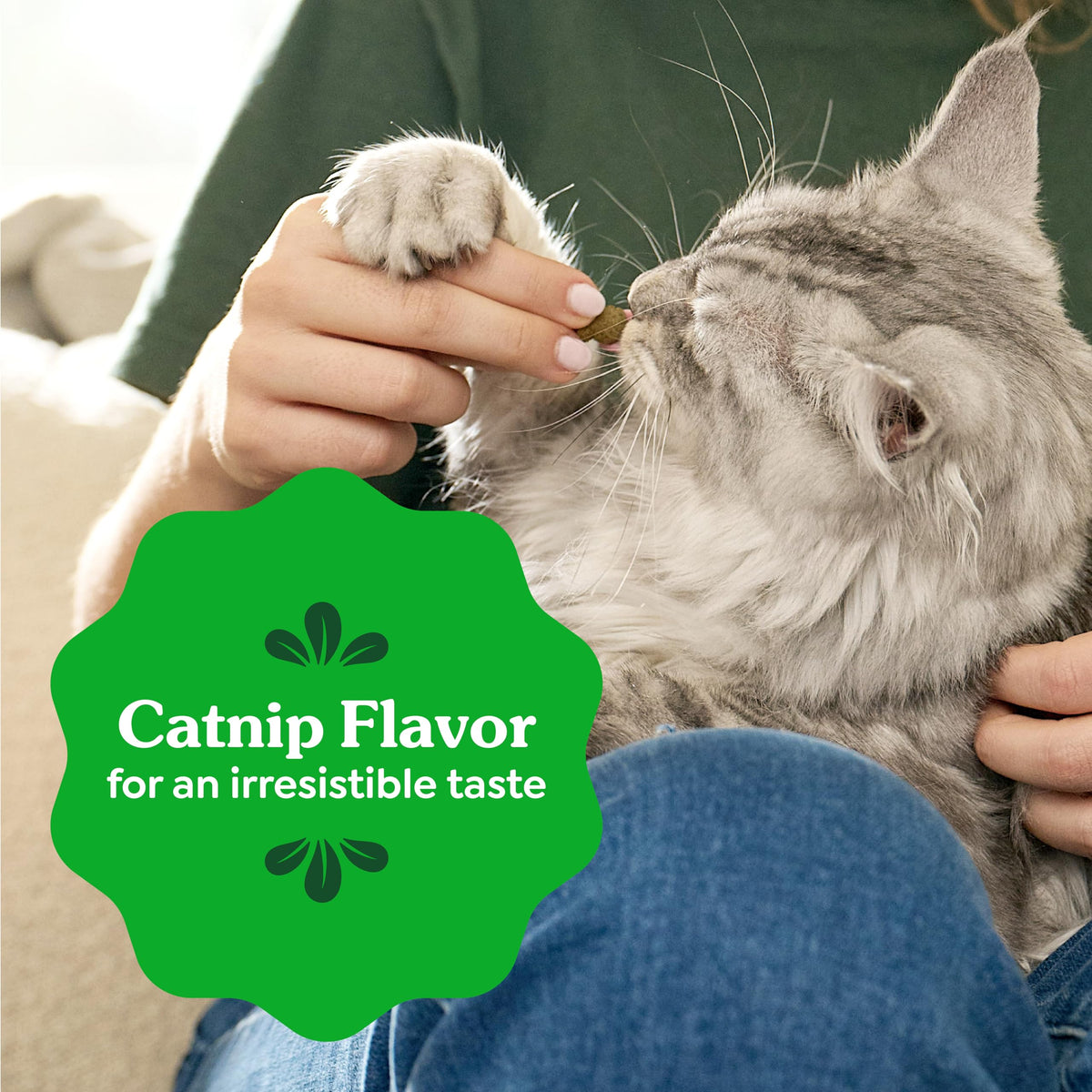 Greenies Feline Natural Dental Cat Treats, Catnip Flavor, 4.6 oz