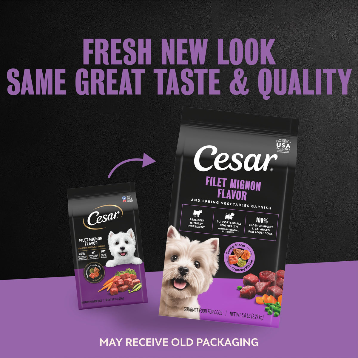 Cesar Small Breed Dry Dog Food, Chicken & Spring Vegetables Flavor, 2.7 lb