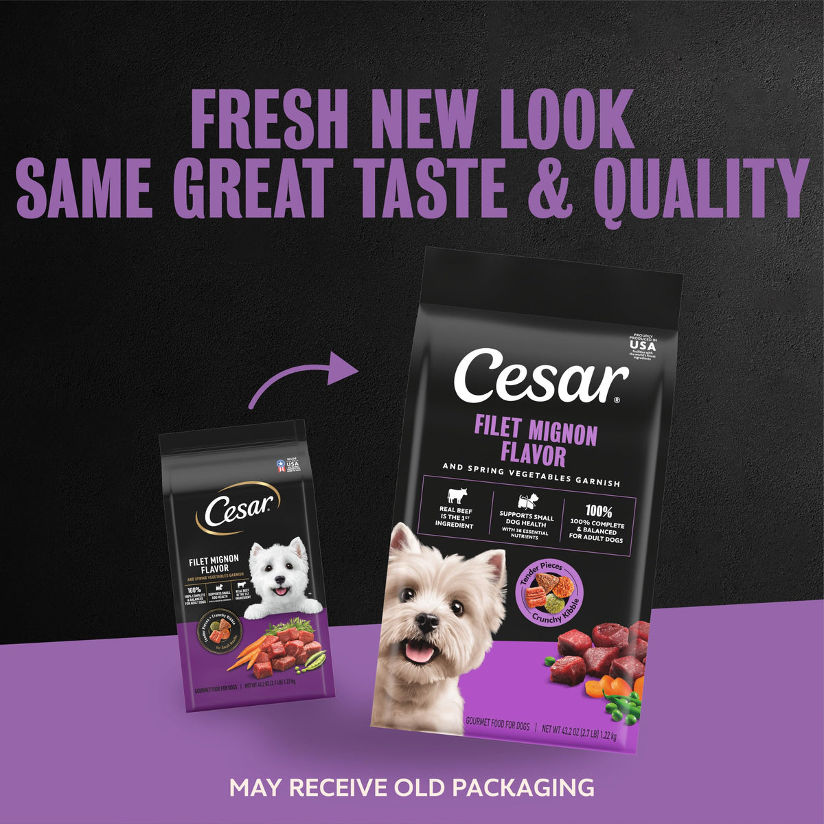 Cesar Small Breed Dry Dog Food, Chicken & Spring Vegetables Flavor, 2.7 lb