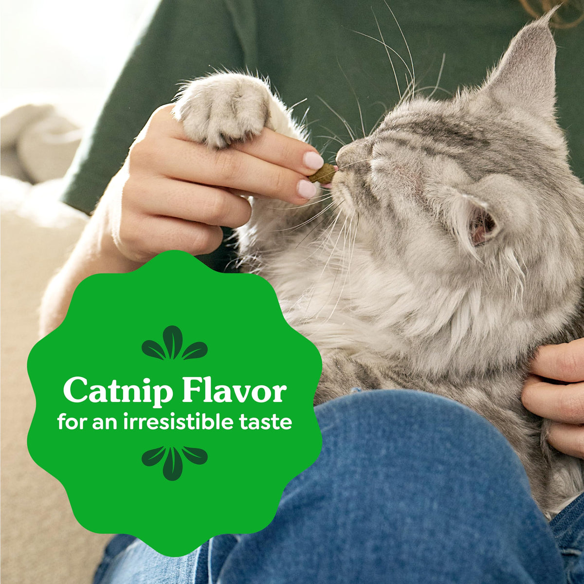 Greenies Feline Natural Dental Cat Treats, Catnip Flavor, 4.6 oz