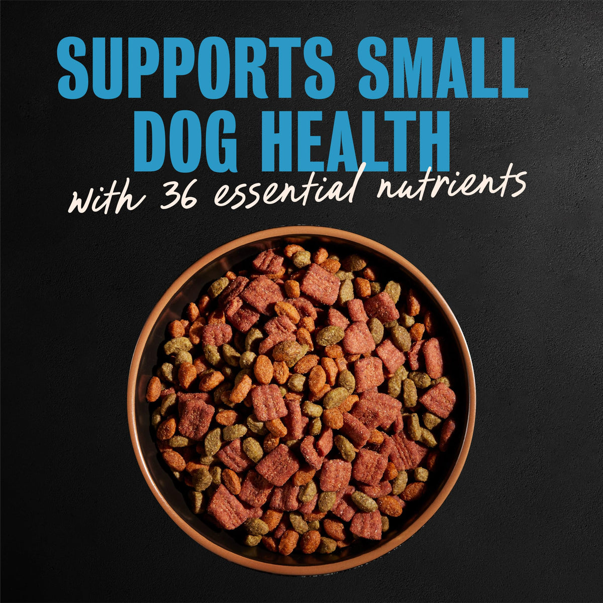 Cesar Small Breed Dry Dog Food, Chicken & Spring Vegetables Flavor, 2.7 lb